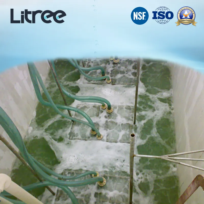 Litree Tauch-UF-Membran-Ultrafiltrationsmodul für Wasseraufbereitungsanlage im Industriepark