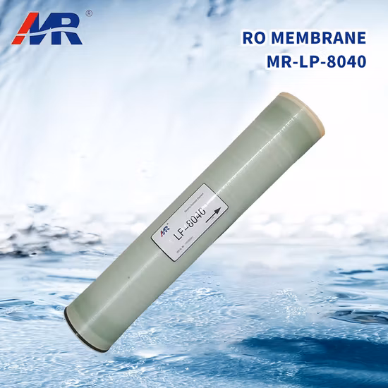 Heimwasserfilter 2012 Umkehrosmoseanlage 100 GDP RO-Membran High Rejection NF-Membran Industrielle Nanofiltrationsmembran Tanfo TF8040