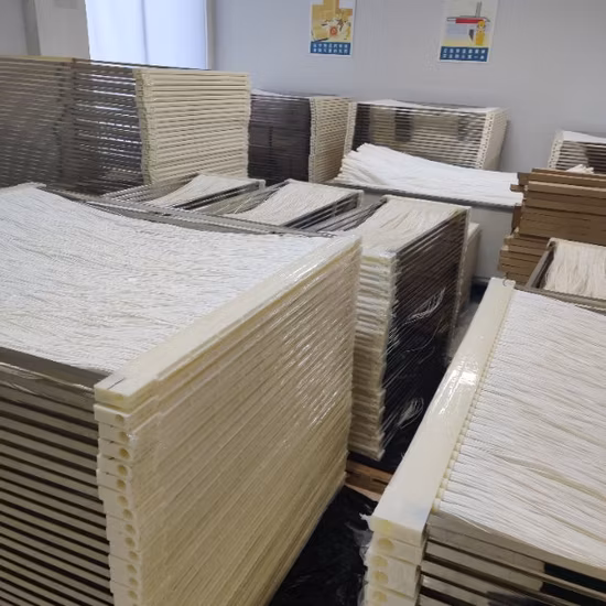 Wasserfilter PVDF Hohlfasermembran Mbr Bioreaktor